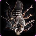 Metamorphose