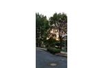 Etagenwohnung Plauen - 1 Zimmer, 38 m&sup2;, 180&euro; | Angebot:9038746