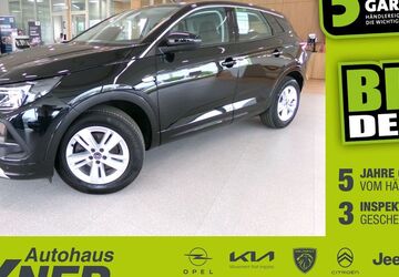 Opel Grandland (X) 22.280 km 16.900 &euro; Hof 95032